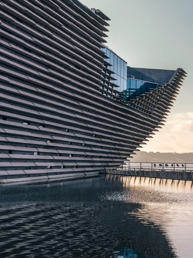 Design, Discovery, and a Dash of Dundee Charm
