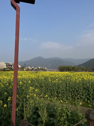 🏮🌿 Anyi Whispers: Step into Jiangxi’s 600-Year-Old Watercolor Dream!