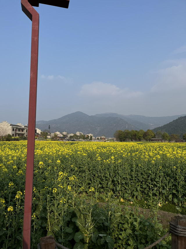 🏮🌿 Anyi Whispers: Step into Jiangxi’s 600-Year-Old Watercolor Dream!