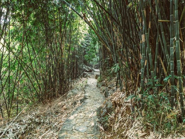 Thung Nham Bird Park: A Hidden Oasis in Tam Coc, Vietnam