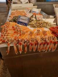 Discovering Cádiz: A Charming Escape on the Spanish Coast