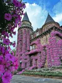 🏰✨ “Romantic Escape: Discovering Château de Castel Novel” 🇫🇷