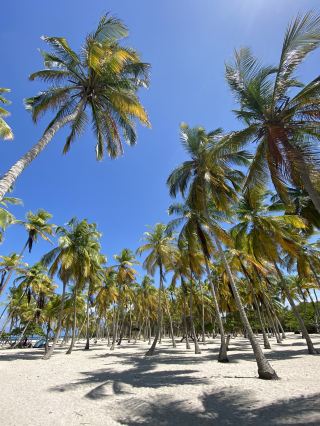 Venezuela Seaside Escape: Review from Morrocoy beach