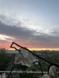 hatfield 