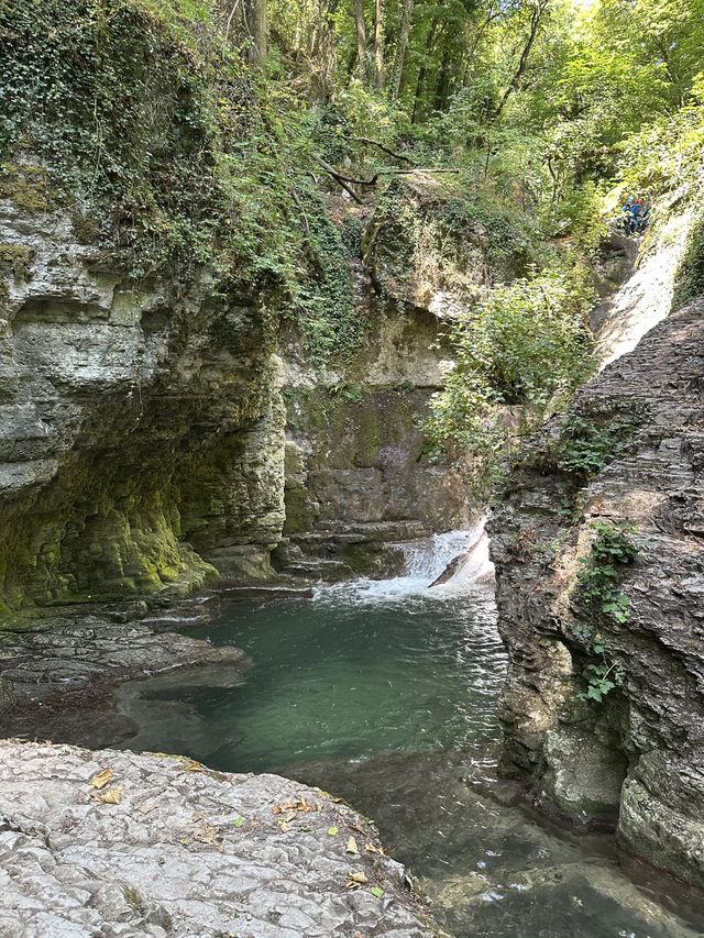 Cuves Nature Escape🌲
