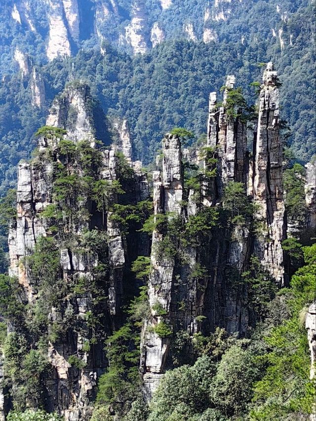 По следам Аватара: 4 дня в Китае