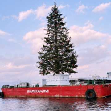 Winter in Hokkaido: Snow, Nature & Cozy Adventures