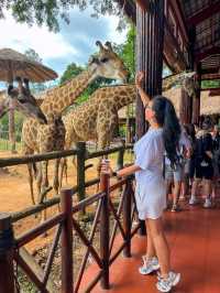 North Phu Quoc 2-day plan: Safari, Grand World and VinWonders in the right order