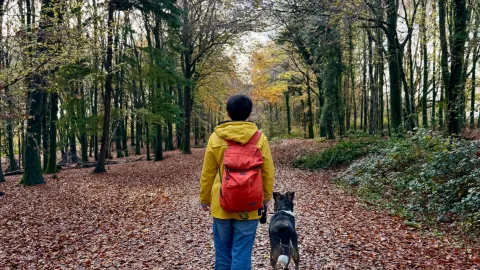 10 places to go for an Autumn walk in South Wales — traveler post in Caerphilly