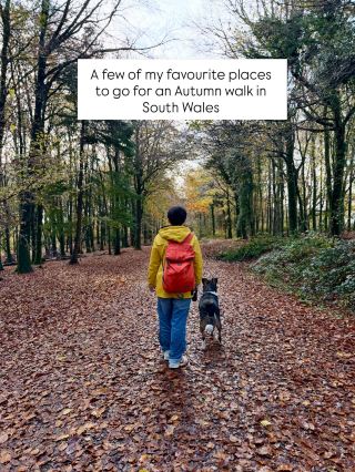 10 places to go for an Autumn walk in South Wales 