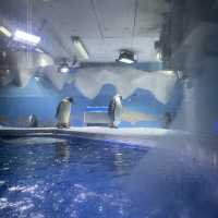 Underwater world Aquarium 