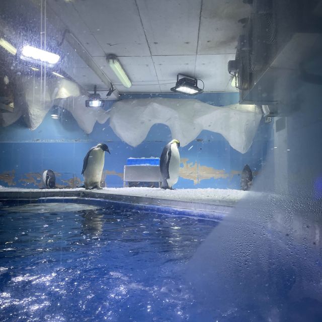 Underwater world Aquarium 