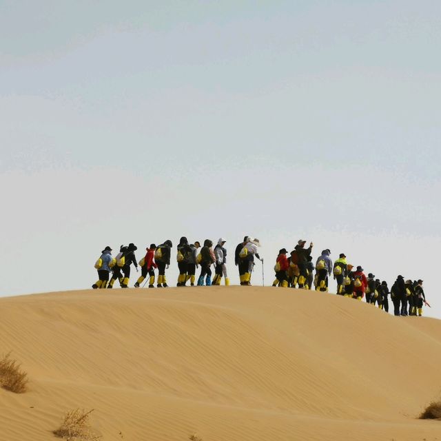 #Ordos Desert #Inner Mongolia #Visit #05/2019