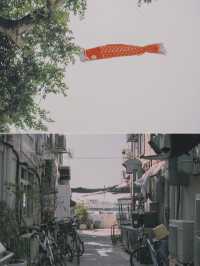 香港 | 🌴 一個適合發呆的小島 ~