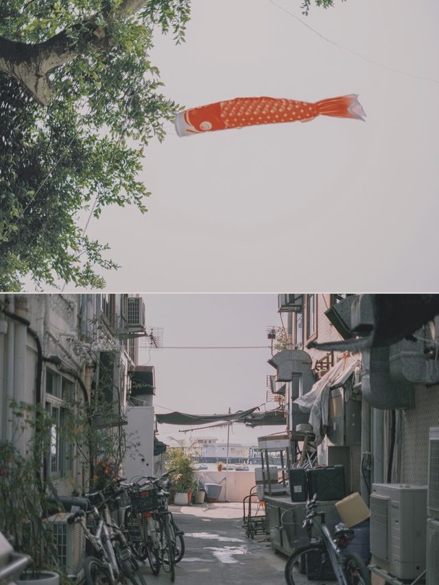 香港 | 🌴 一個適合發呆的小島 ~