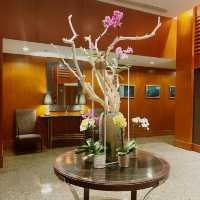 The Best 5-Star Hotel in Shanghai!
