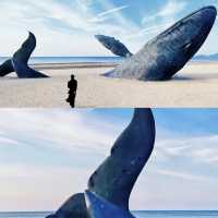 A lonely whale off the coast of Yantai 