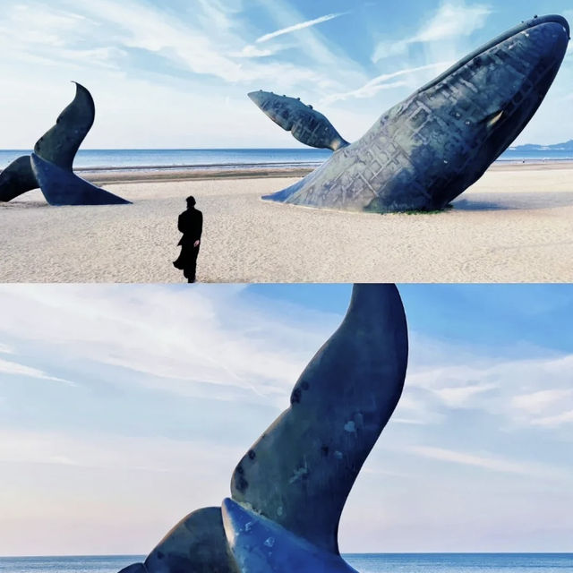 A lonely whale off the coast of Yantai 
