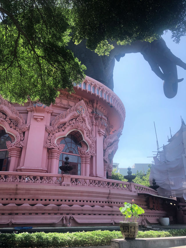 Bangkok's Pink Elephant Museum, a romance you never expected.