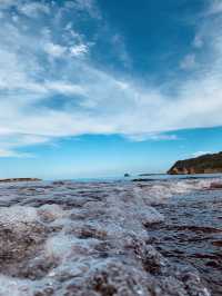 Internet-famous check-in spot | Izu Shichikashuku Coast, Shizuoka Prefecture