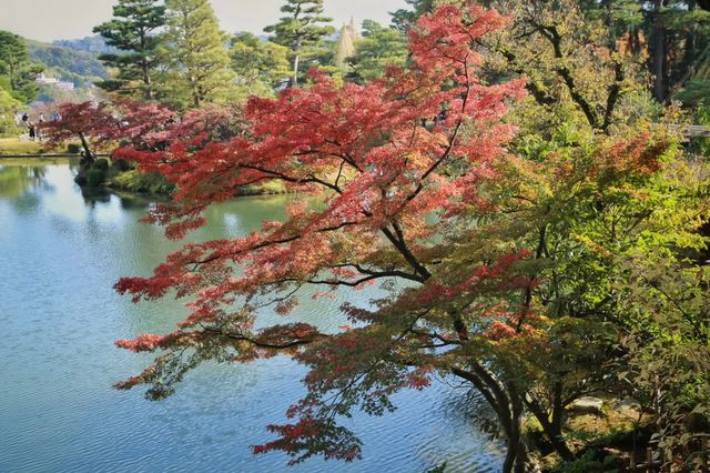 Off-the-beaten-path destinations for viewing autumn leaves in Japan.