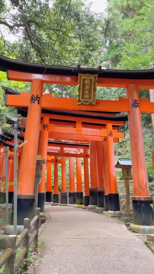 Fushimi Inari Taisha: A Temple with Thousands of Torii Gates