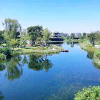 Exploring the Modern edge of Chengdu city