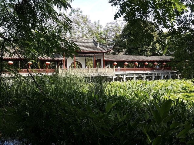  A Well Maintened Park in Chengdu🇨🇳