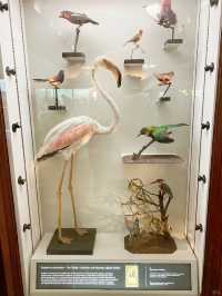 A brilliant museum in southeast London