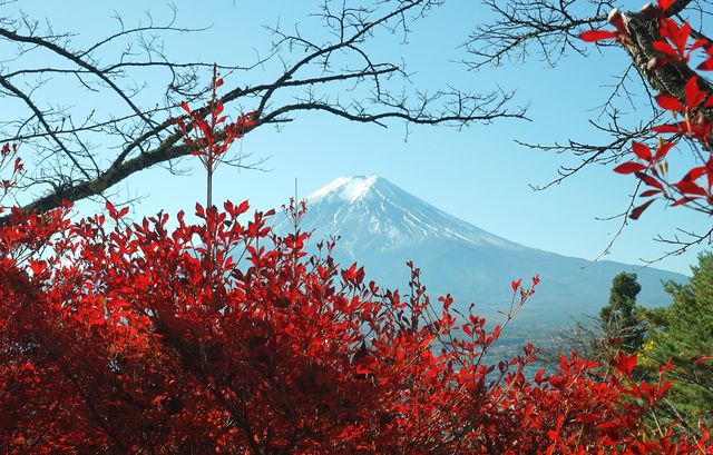 環繞富士山遊覽