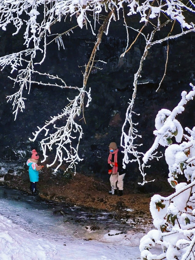成都周邊｜比北海道還美的夢幻雪國森林|||