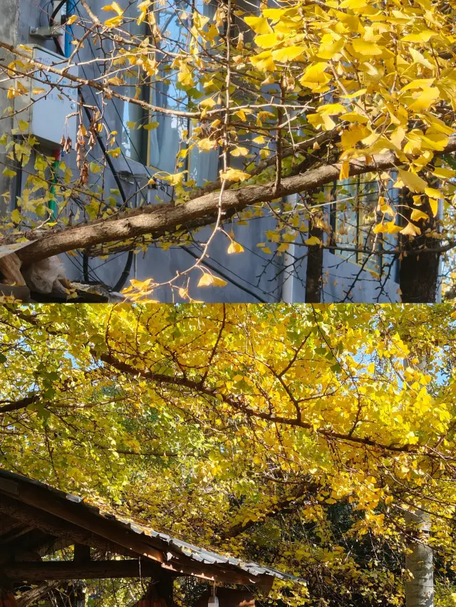 別去日本了！國內唯一看火山泡溫泉的小城，比北海道浪漫