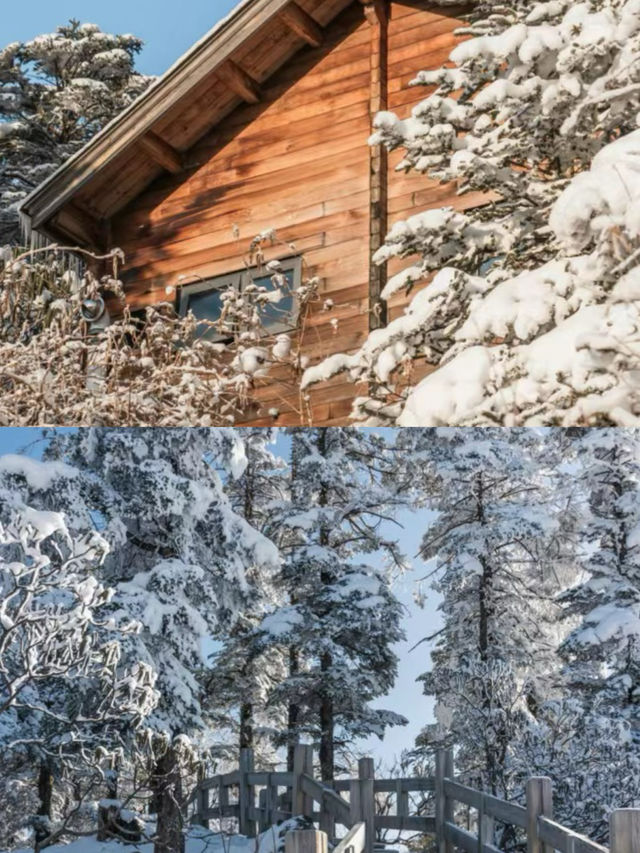 成都周邊遊|抓住冬日的尾巴，去看場雪吧