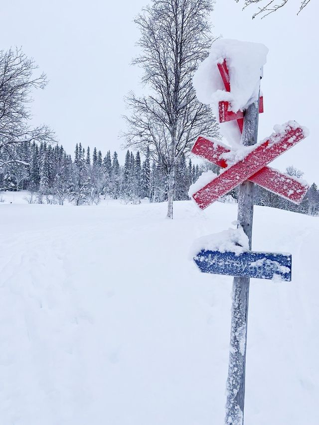 瑞典超美滑雪場——奧勒滑雪場