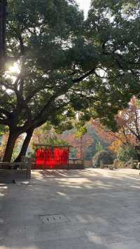 常熟小城的冬日怎麼過？去山寺裡發呆曬太陽吧