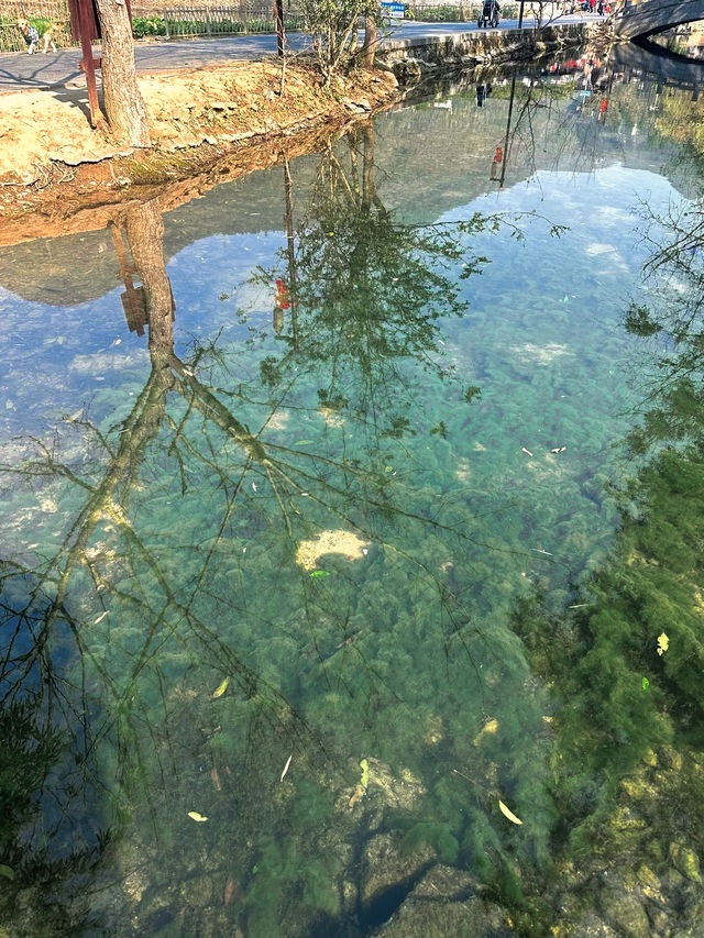 梵淨山腳下的寶藏村落｜雲舍村