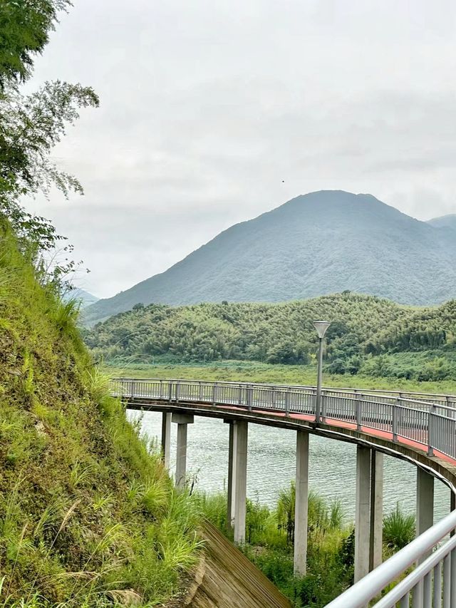 絕美水上公路!!奉化葛岙水庫