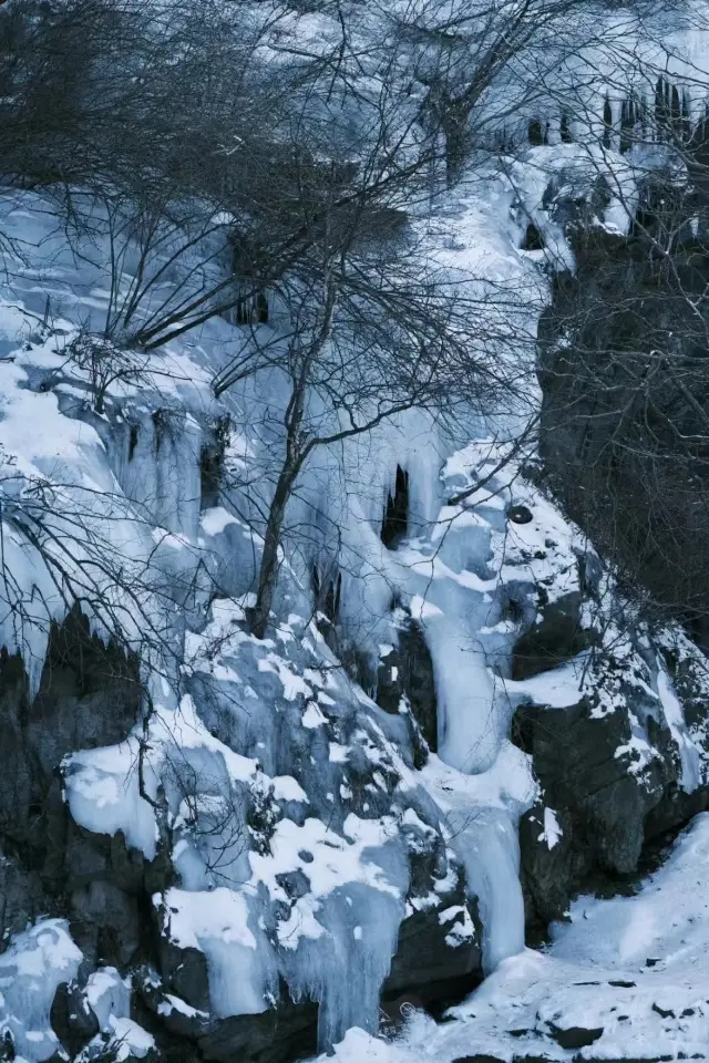 東北の霧氷が立ち上がらないのではなく、ここ海上の霧氷雲海がより美しい！