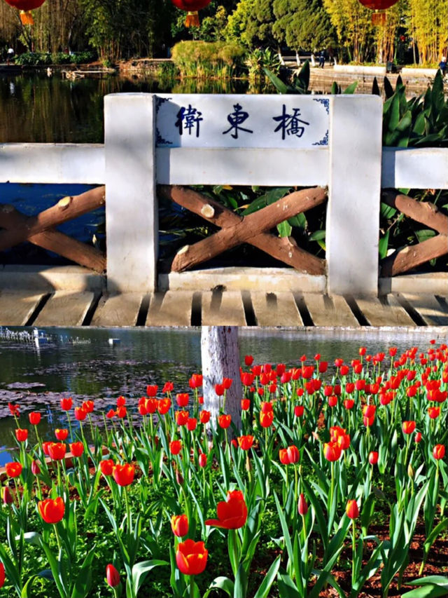 翠湖公園｜昆明市小眾旅遊景點