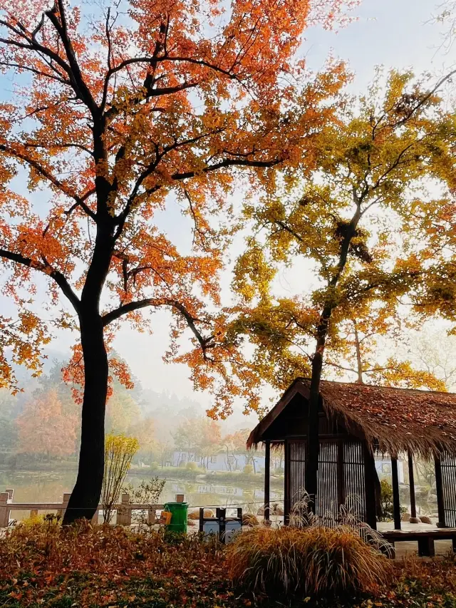 The beauty of Suzhou's Tianping Mountain autumn viewing guide