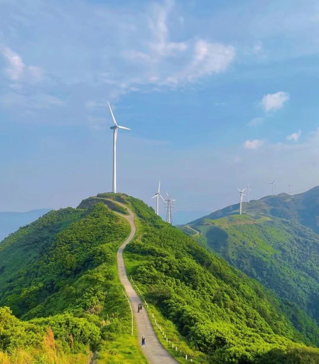 城市吸氧好地方，登高望遠…一切滿足！！！