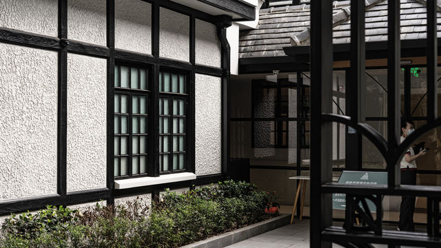 Citywalk第二彈|樹蔭下的新華路 Citywalk第二彈|樹蔭下的新華路