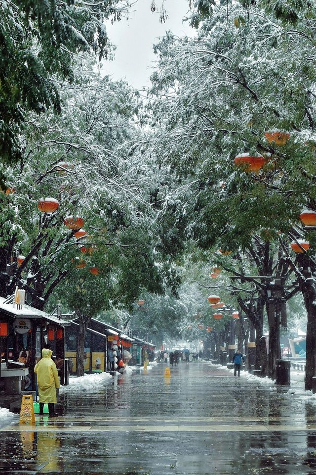 西安_雪花飄飄的大雁塔 西安_雪花飄飄的大雁塔