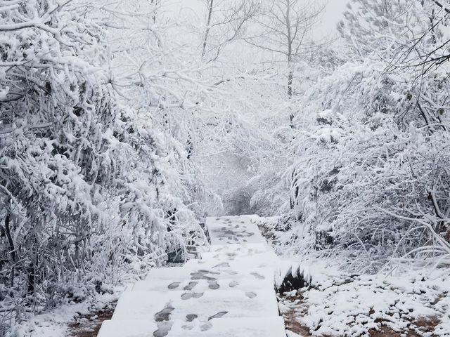 你想知道的都在這明月山