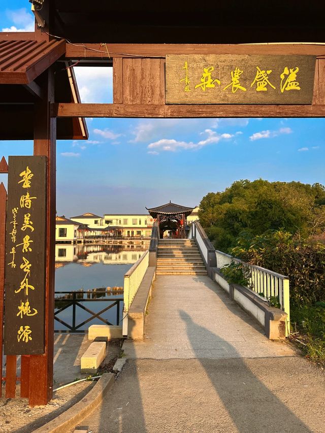 上了一周班的打工人向往的周末隱居生活