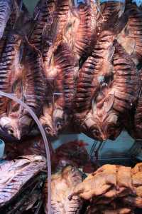 菜市場裡的人間煙火｜長沙荷花池太好逛了！