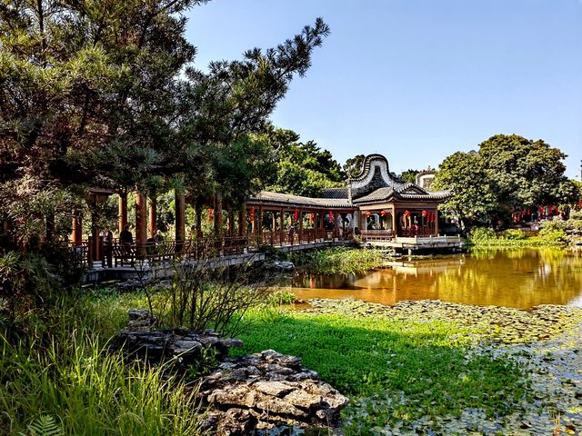 冬日暖陽，繁花似錦