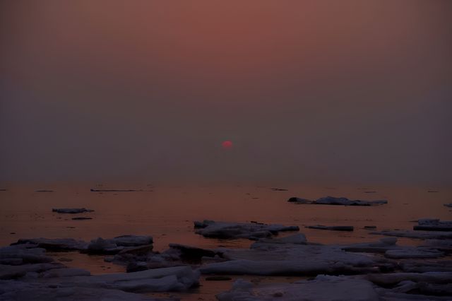 日出和海鷗