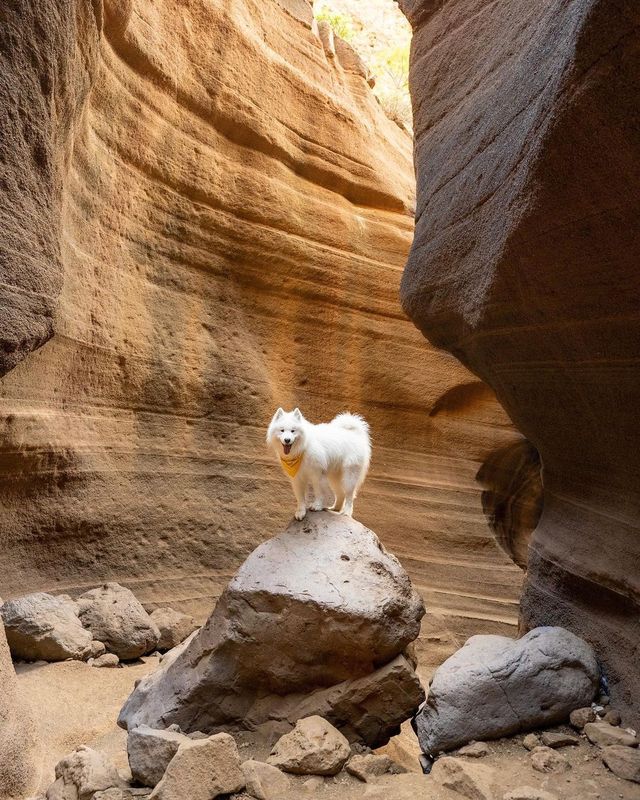 🌴🌊 Unveiling the Hidden Gem: Barranco de las Vacas, Gran Canaria! 😍📍