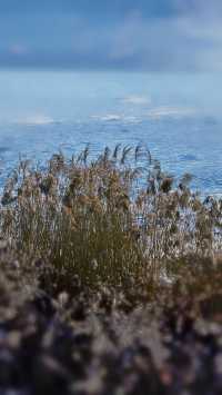 絕美一座海濱「小島」，藏著冬日的星辰湖海